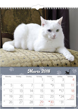 VÆGKALENDER KATTE  2018 MAYLAND