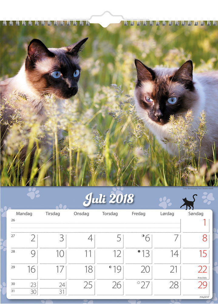 VÆGKALENDER KATTE  2018 MAYLAND