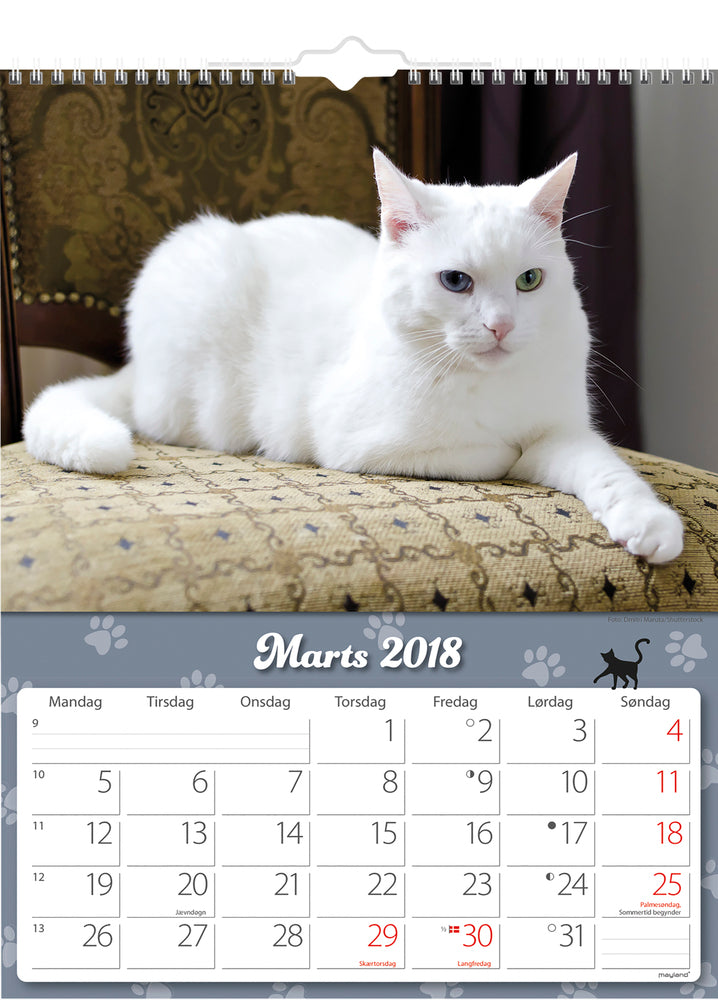 VÆGKALENDER KATTE  2018 MAYLAND