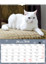 VÆGKALENDER KATTE  2018 MAYLAND