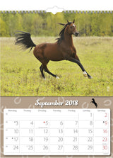 VÆGKALENDER HESTE  2018 MAYLAND