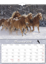 VÆGKALENDER HESTE  2018 MAYLAND