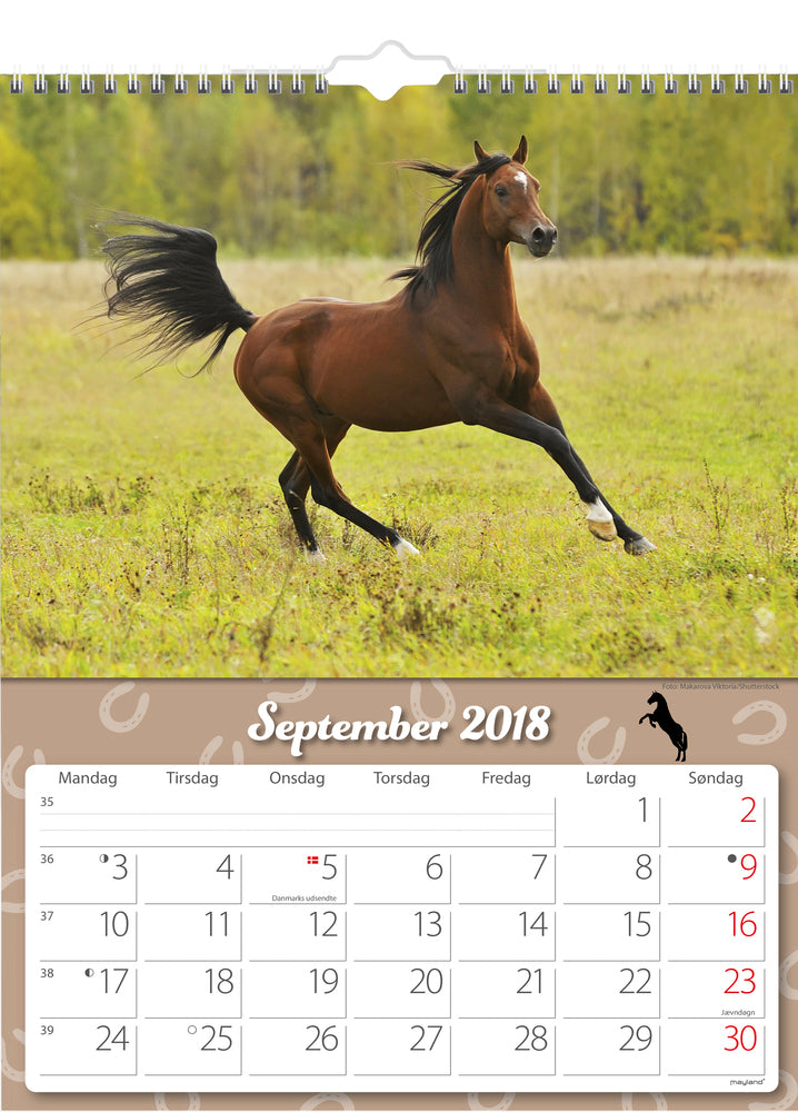 VÆGKALENDER HESTE  2018 MAYLAND