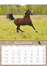 VÆGKALENDER HESTE  2018 MAYLAND