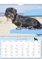 VÆGKALENDER HUNDE  2018 MAYLAND