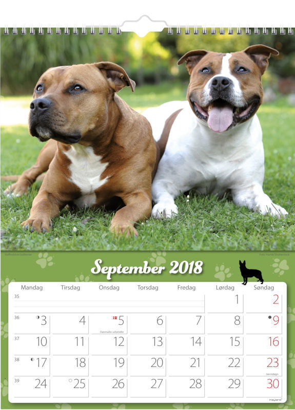 VÆGKALENDER HUNDE  2018 MAYLAND