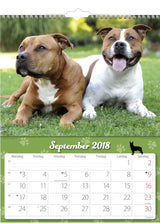 VÆGKALENDER HUNDE  2018 MAYLAND