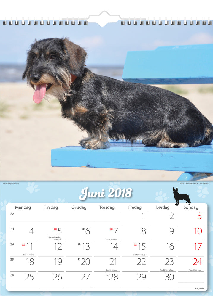 VÆGKALENDER HUNDE  2018 MAYLAND