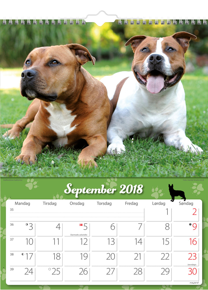 VÆGKALENDER HUNDE  2018 MAYLAND