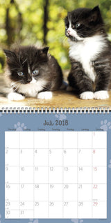 VÆGKALENDER KATTEKILLINGER  2018 MAYLAND