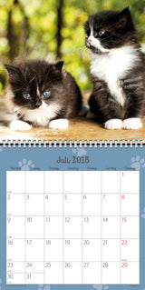 VÆGKALENDER KATTEKILLINGER  2018 MAYLAND