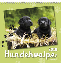 VÆGKALENDER HUNDEHVALPE  2018 MAYLAND