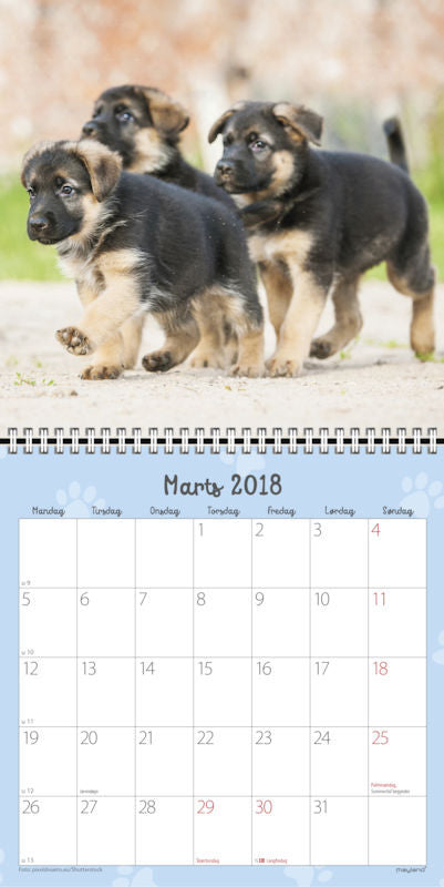 VÆGKALENDER HUNDEHVALPE  2018 MAYLAND