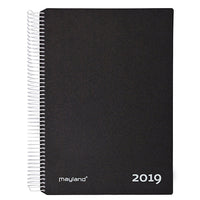 TIMEKALKALENDER 1-DAG PP SORT  2019 MAYLAND