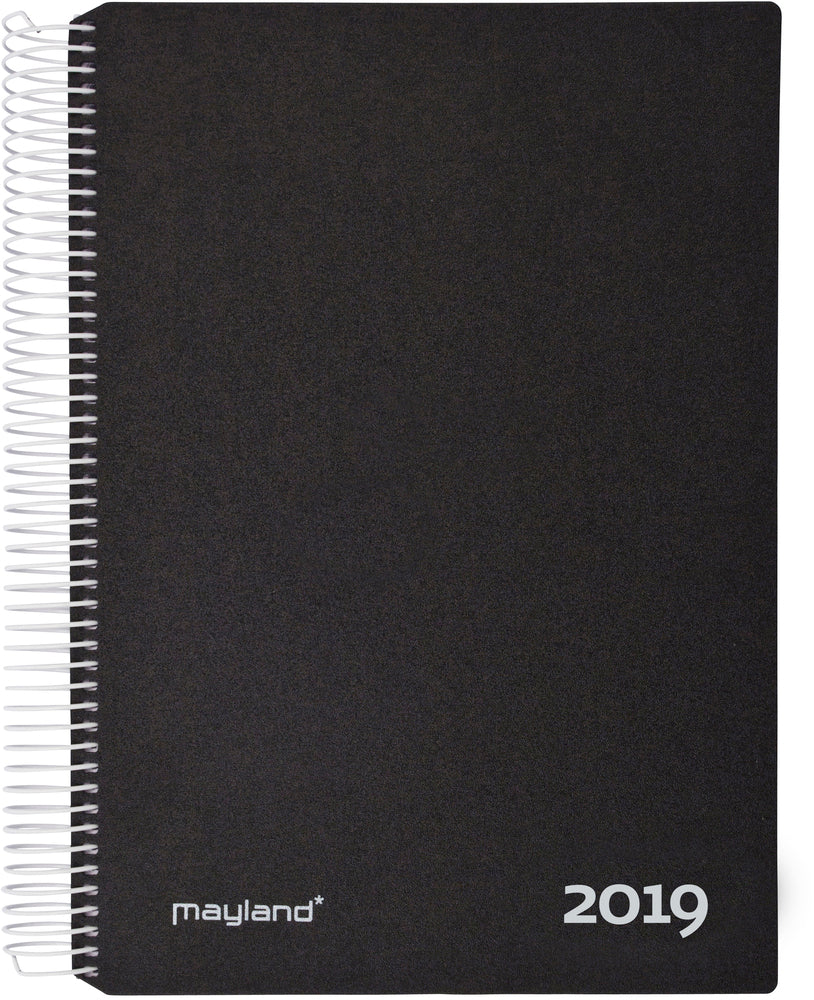 TIMEKALKALENDER 1-DAG PP SORT  2019 MAYLAND