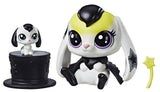 PET PAIRS
