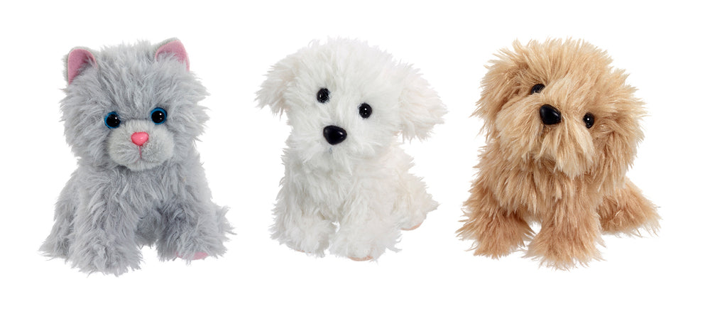 Scruffies scruffy pets asst.