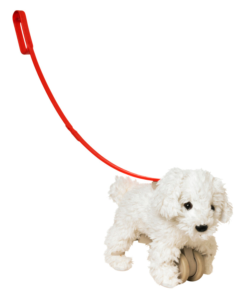 MY PUPPY PARADE BICHON - CHARLIE