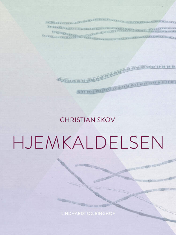 Hjemkaldelsen