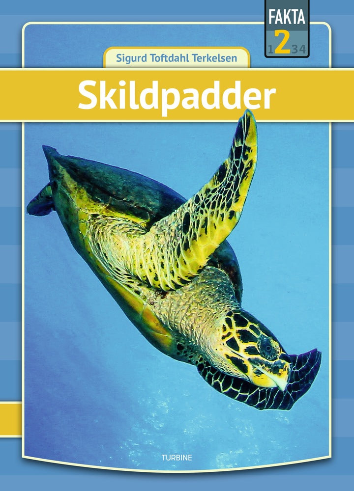 Skildpadder