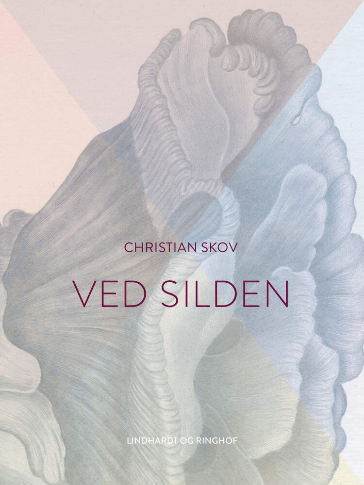 Ved silden