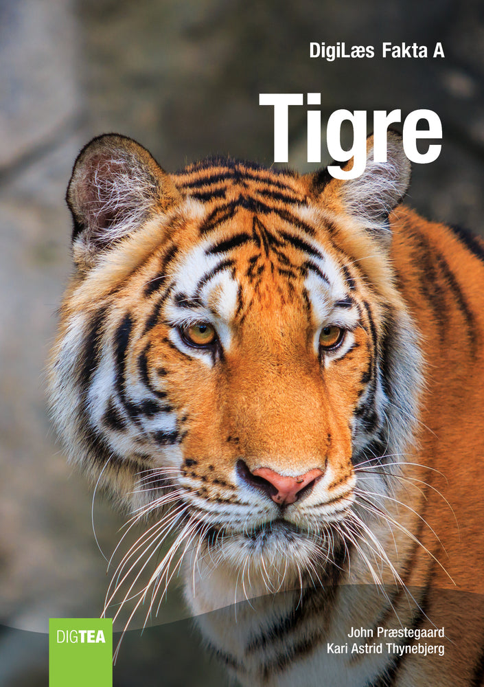 Tigre
