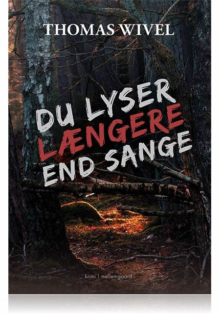 Du lyser længere end sange