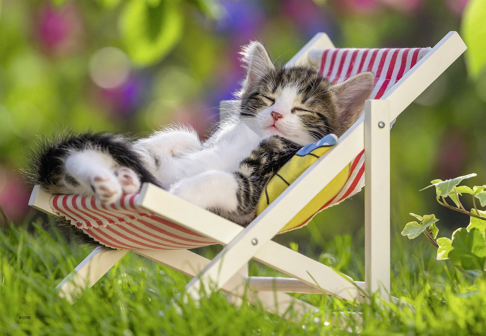 Puslespil sleepy kittens 2x24 brikker