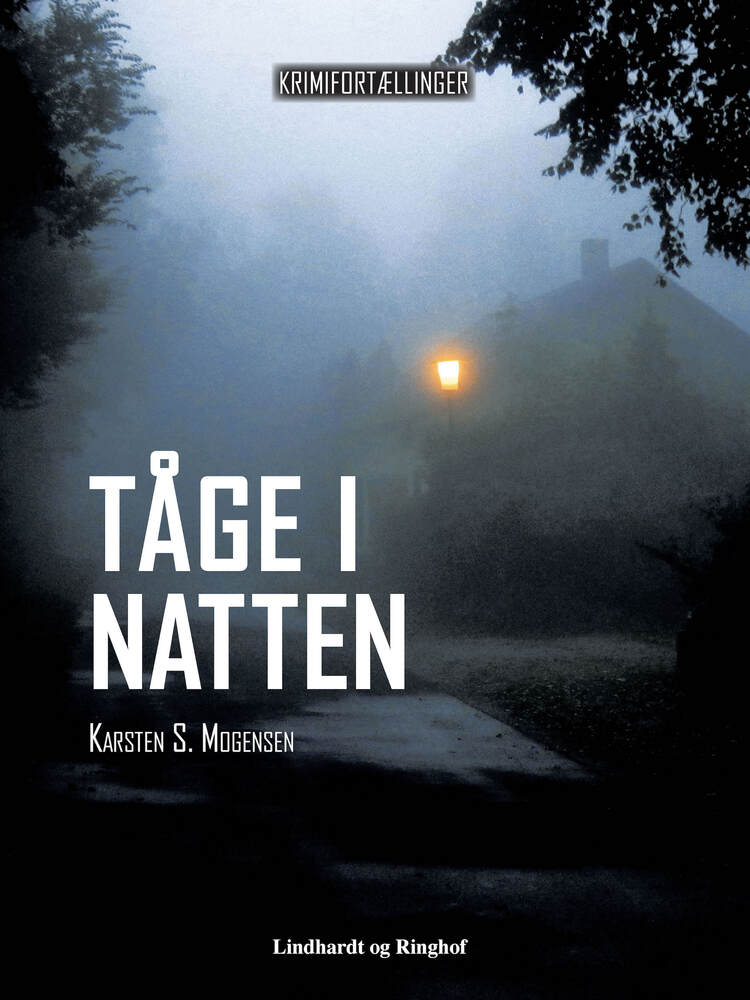 Tåge i natten