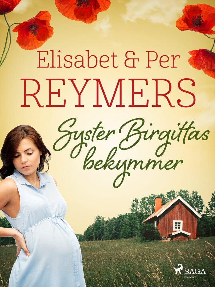 Syster Birgittas bekymmer