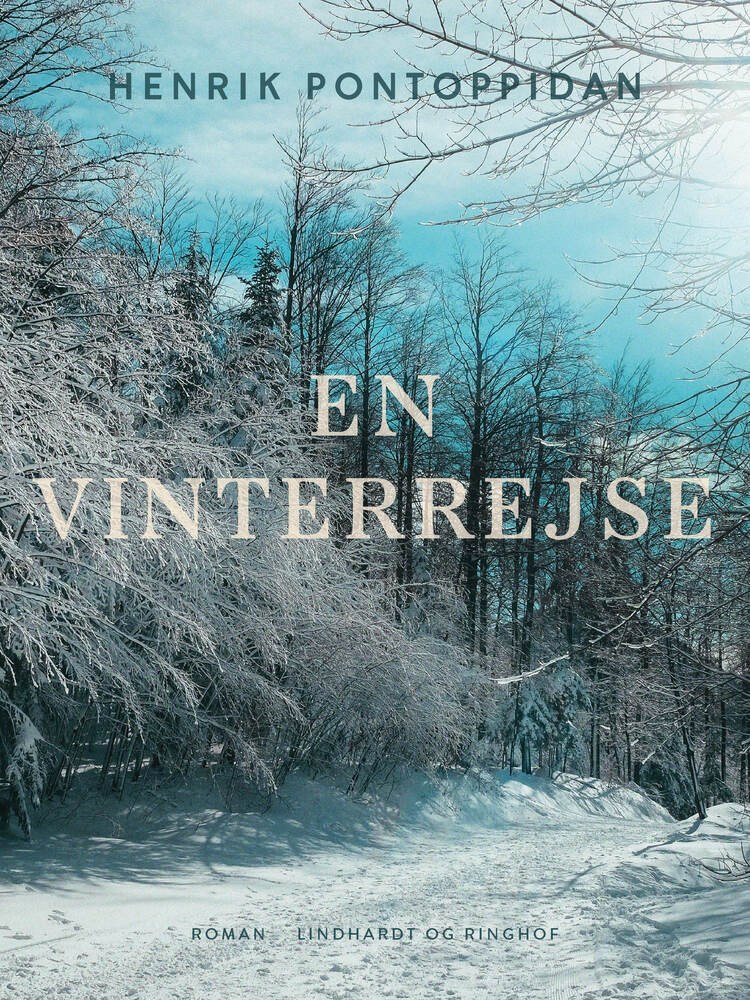 En vinterrejse