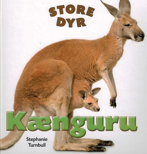Kænguru