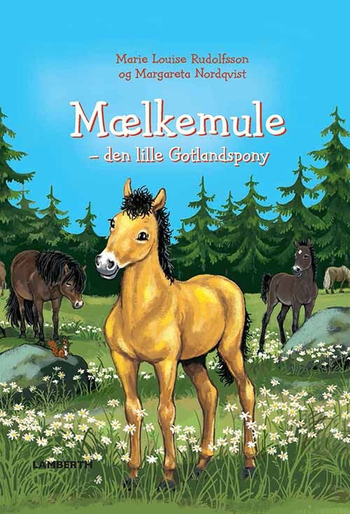 Mælkemule - den lille Gotlandspony