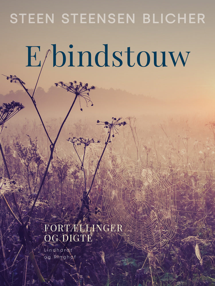E bindstouw