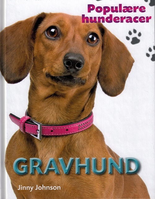 POPULÆRE HUNDERACER: Gravhund
