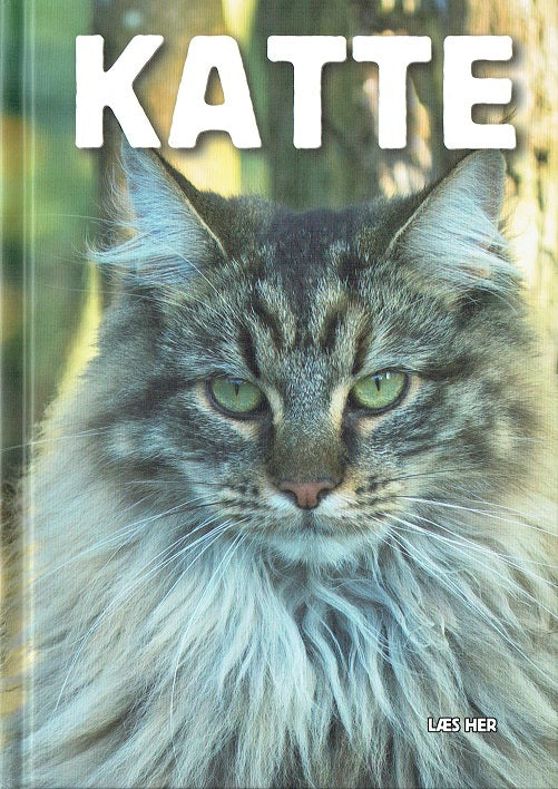 Læs her: Katte