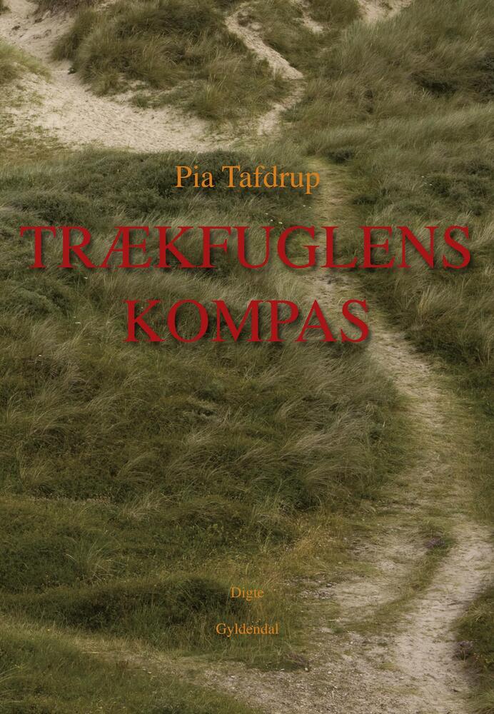 Trækfuglens kompas