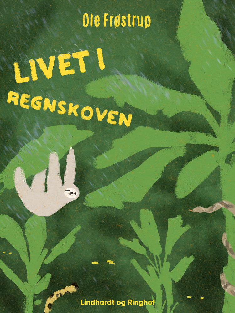 Livet i regnskoven
