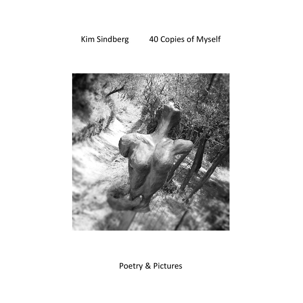 40 copies of myself