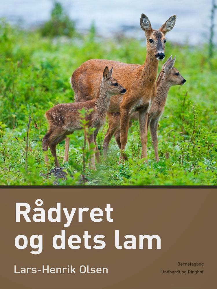 Rådyret og dets lam