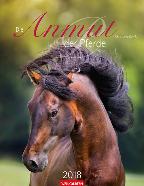 Die Anmut der Pferde 2018 Kalender