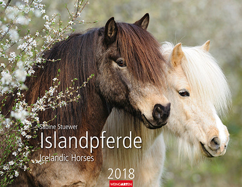 Islandpferde 2018 Kalender