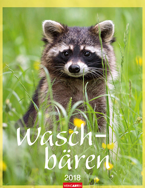 Waschbären 2018 Kalender