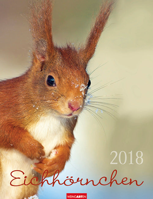 Eichhörnchen Kalender 2018