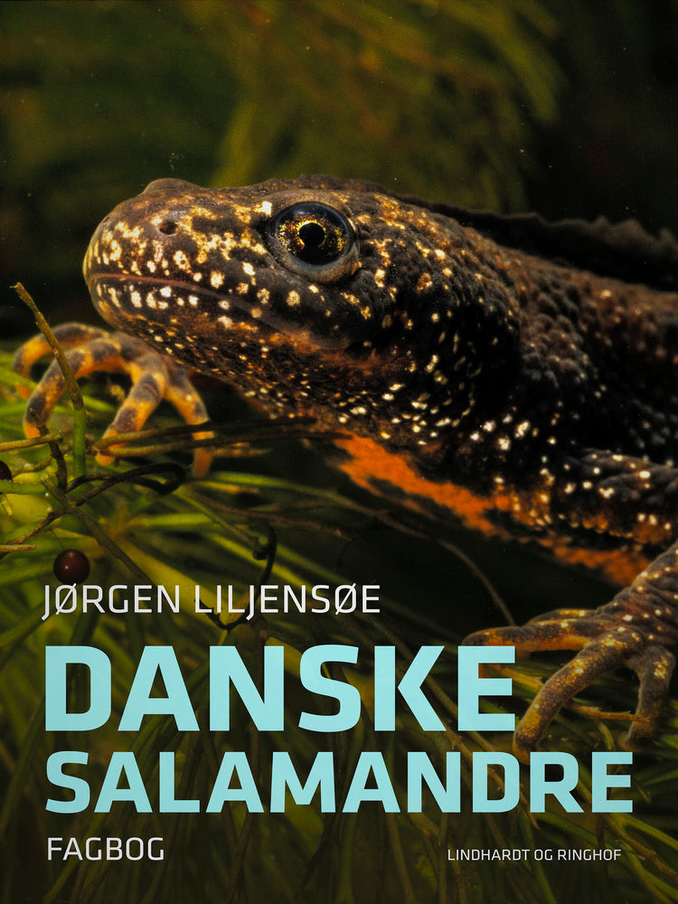 Danske salamandre