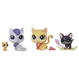 Pet family pack asst