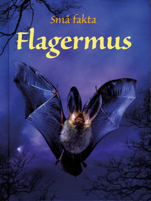 Flagermus