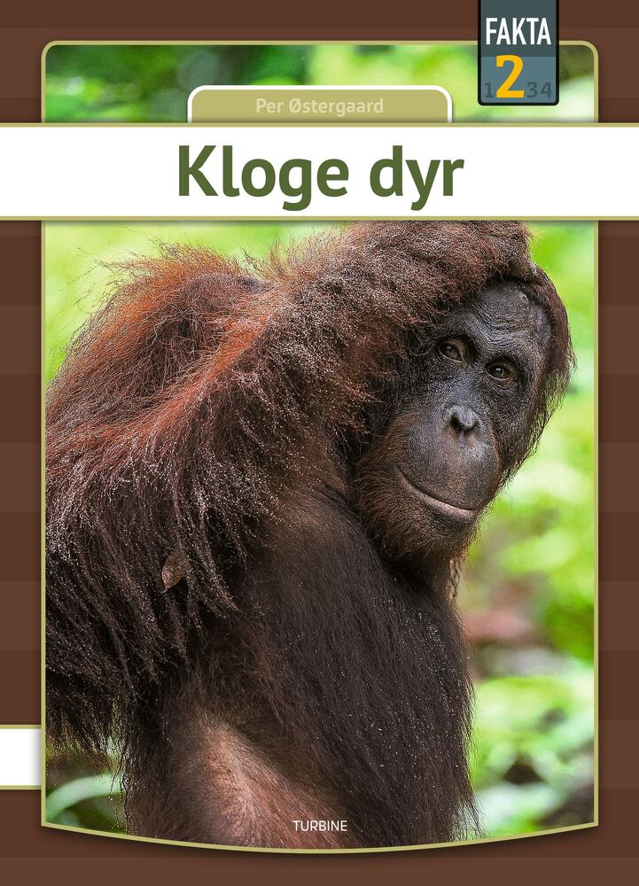 Kloge dyr