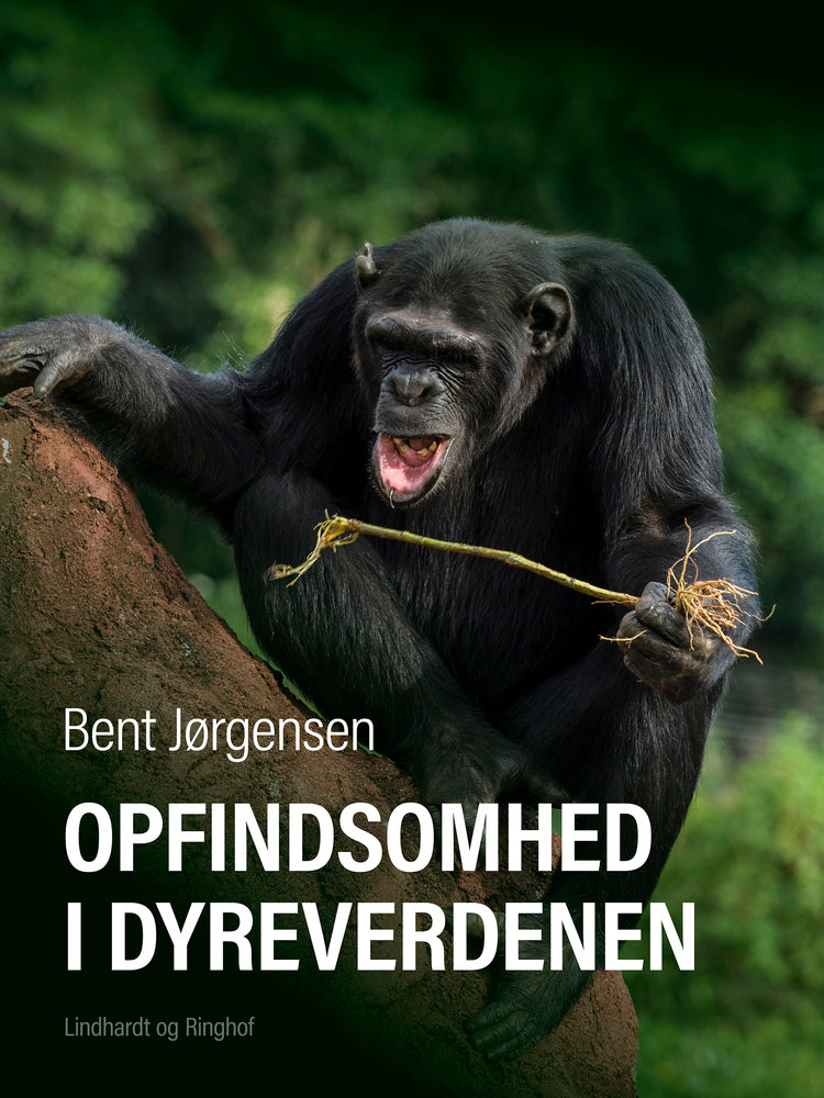 Opfindsomhed i dyreverdenen