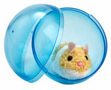 Busy little hamster